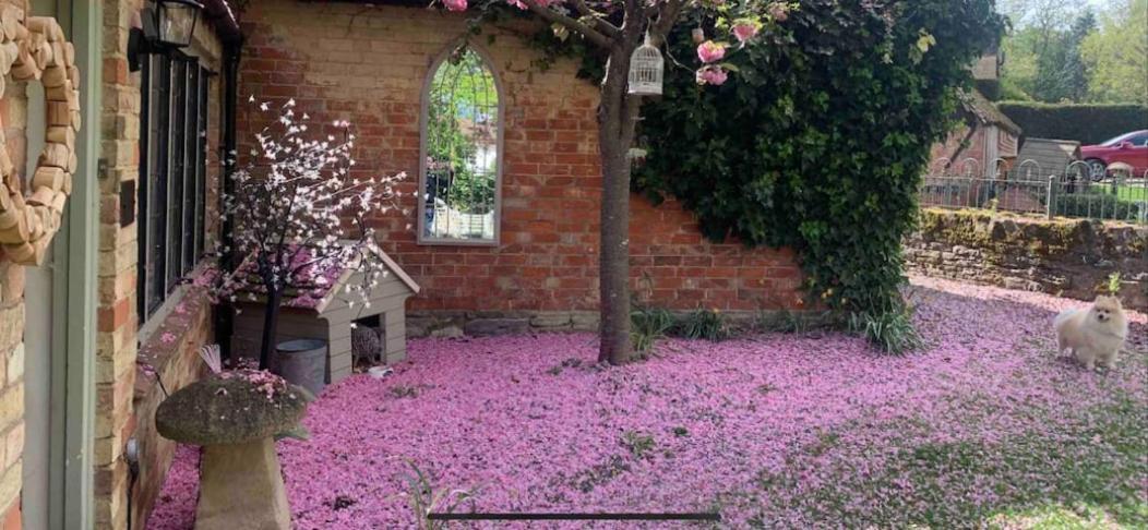 Piglet Cottage Pebworth Exterior foto